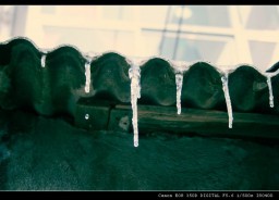 雪景金东浩成长相册0
